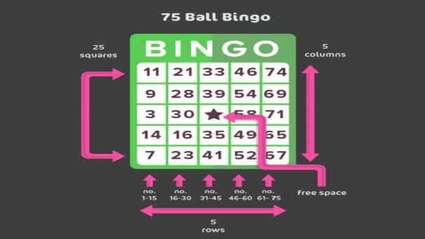 WINFORDBET online casino bingo
