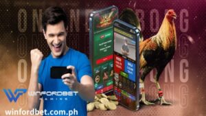 Kaya siguraduhing suriin ang mga listahan ng WINFORDBET para sa mga makatwirang bonus at mapagkakatiwalaang online Sabong platform.